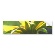 Large Yellow Wildflowers 3 bumper stickers