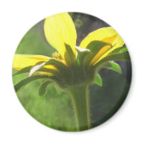 Large Yellow Wildflowers 3 Magnet
