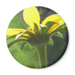 Large Yellow Wildflowers 3 Magnet