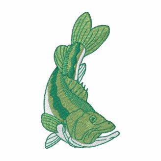 Largemouth Bass