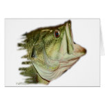 LargeMouth Bass from FishHeads Collection Cards