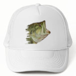 LargeMouth Bass from FishHeads Collection
