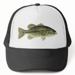 Largemouth Bass hats