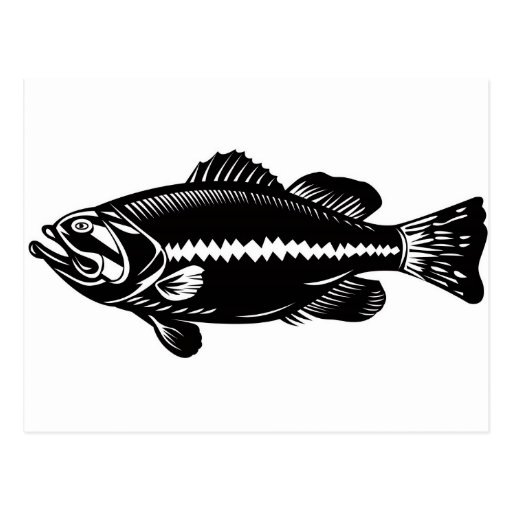 largemouth bass jumping retro postcards