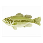 largemouth bass jumping retro postcards