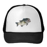Largemouth bass trucker hats