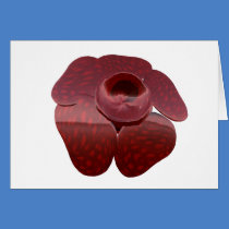 Largest Red Petal Flower Rafflesia Card