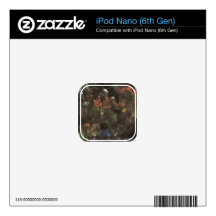 Larkspur by Lovis Corinth Decals For The iPod Nano