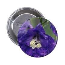 Larkspur, (Delphinium Hybride) flowers Pinback Buttons
