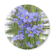 Larkspurs magnets by GABPhotography Larkspurs magnets