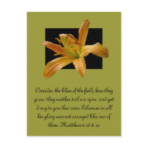 Larry's Orange Lily postcards by MAPASUE Larry's Orange Lily postcards