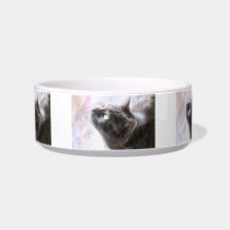 Lars looks up pet bowls