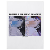 Larsen B Ice Shelf Collapse (Picture Earth) Flyer Design