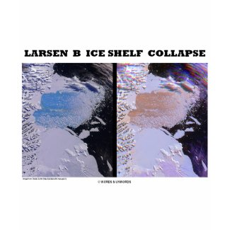 Larsen B Ice Shelf Collapse (Picture Earth) shirt