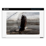 Las alas ampliaron Eagle calvo Samsung Chromebook Calcomanía
