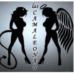 LAS CAMALEONAS Photo Sculpture