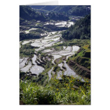 Las terrazas esculpen, Filipinas Tarjetón