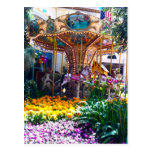 Las Vegas Botanical Garden Post Card
