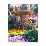 Las Vegas Botanical Garden postcards