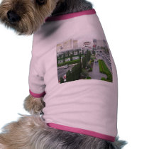 Las Vegas Fountains Hotels Casinos Caesars Palace pet clothing