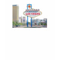 Las Vegas Ladies Tank Top (Fitted) t-shirts