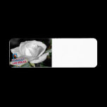 Las Vegas Wedding Label labels