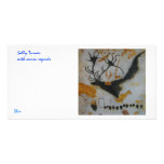 Lascaux Giant Deer photo cards