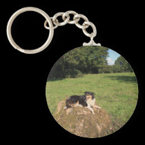 Lassie keychains