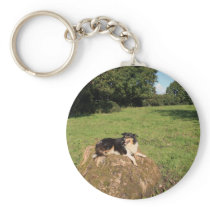 Lassie Keychains