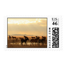 Last Call Postage Stamp