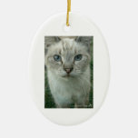 Last Hopes Blue Eyes Christmas Ornament