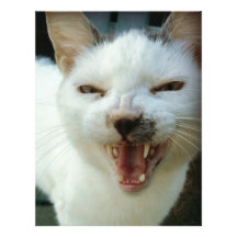 Last Hopes Chatty Catty Customized Letterhead