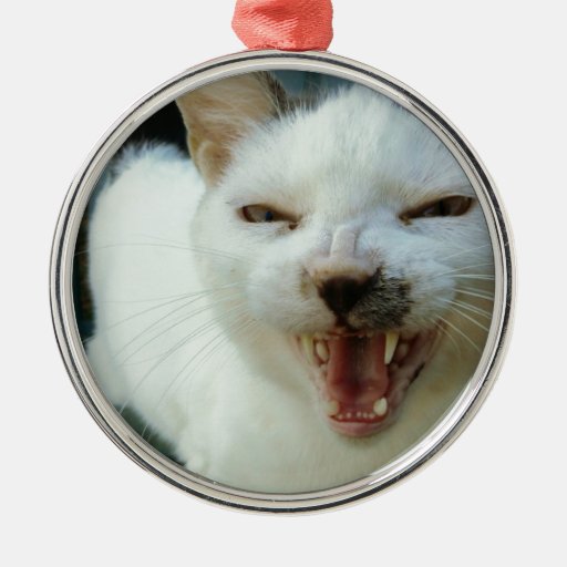Last Hopes Chatty Catty Ornaments