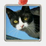 Last Hopes Curious Bandit Christmas Tree Ornament