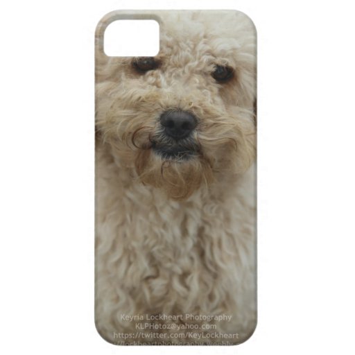 Last Hope's Echo iPhone 5 Cases