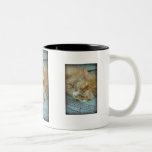 Last Hopes Serenity Mug