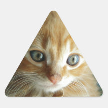 Last Hope's Twinkle Triangle Stickers
