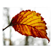 last leaf posters