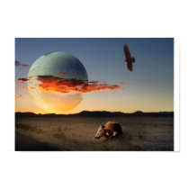 Last of its Kind posters