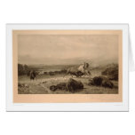 Last of the Buffalo Bierstadt (0137A) - Restored cards