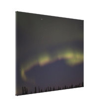 Last of the Lights Canvas Print