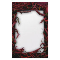 Last of the Red-Hot Writers Custom Stationery