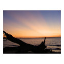 Last Rays of Sunset posters