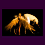 Last Unicorn