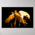 Last Unicorn posters
