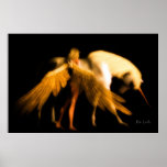 Last Unicorn Poster