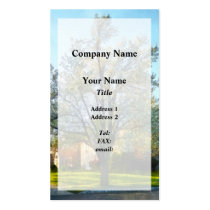 Late Afternoon in Spring business cards