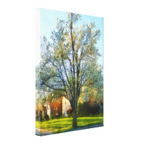 Late Afternoon in Spring canvas prints