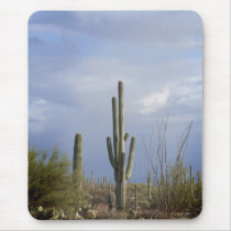 Late Afternoon in the Desert mousepads by StarLily Late Afternoon in the Desert mousepads