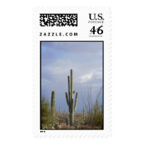 Late Afternoon in the Desert postage